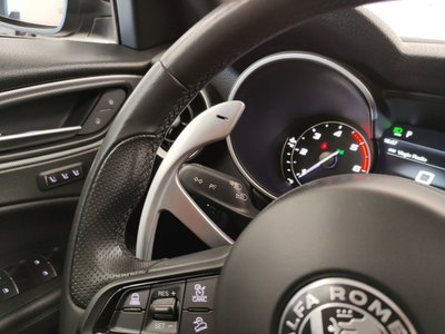 Alfa Romeo Stelvio Stelvio 2.2 Turbodiesel 210 CV AT8 Q4 Veloce (17)