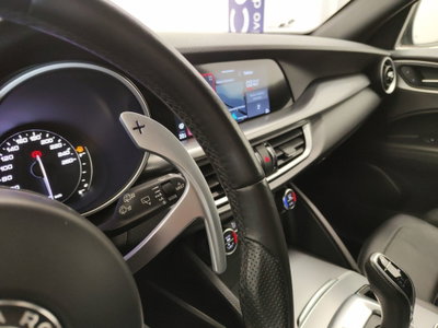 Alfa Romeo Stelvio Stelvio 2.2 Turbodiesel 210 CV AT8 Q4 Veloce (19)