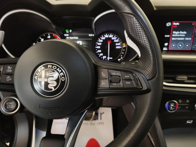 Alfa Romeo Stelvio Stelvio 2.2 Turbodiesel 210 CV AT8 Q4 Veloce (20)
