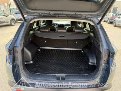 Hyundai Tucson 1.6 hev Exellence 4wd auto (15)