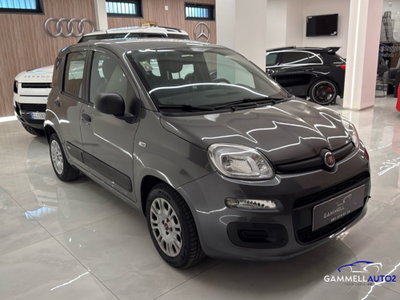Fiat Panda 1.2 Easy (4)
