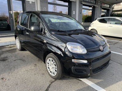 Fiat Panda Cross Cross 1.0 FireFly S&S Hybrid (3)