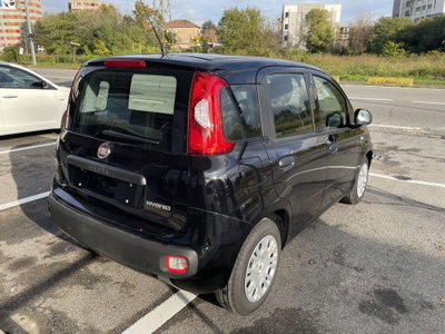 Fiat Panda Cross Cross 1.0 FireFly S&S Hybrid (4)