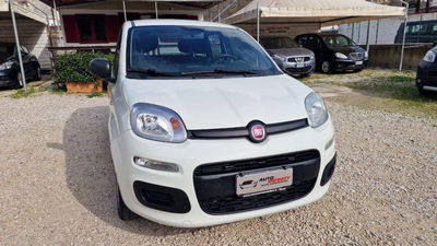 Fiat Panda 1.2 Easy usata