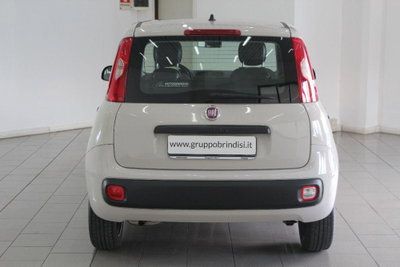 Fiat Panda 1.2 Easy (5)