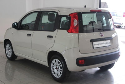 Fiat Panda 1.2 Easy (6)