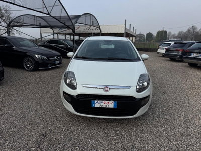 Fiat Punto Evo 1.2 5 porte S&S MyLife (3)