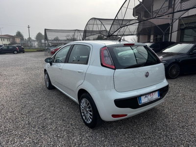 Fiat Punto Evo 1.2 5 porte S&S MyLife (6)