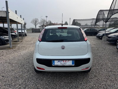 Fiat Punto Evo 1.2 5 porte S&S MyLife (9)