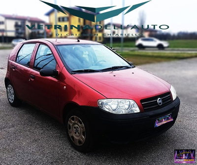 Fiat Punto 1.2 5 porte Actual usata