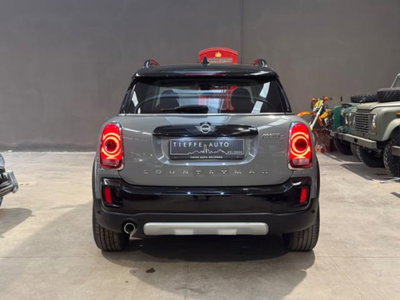 MINI Mini Countryman 2.0 Cooper D Countryman ALL4 (5)