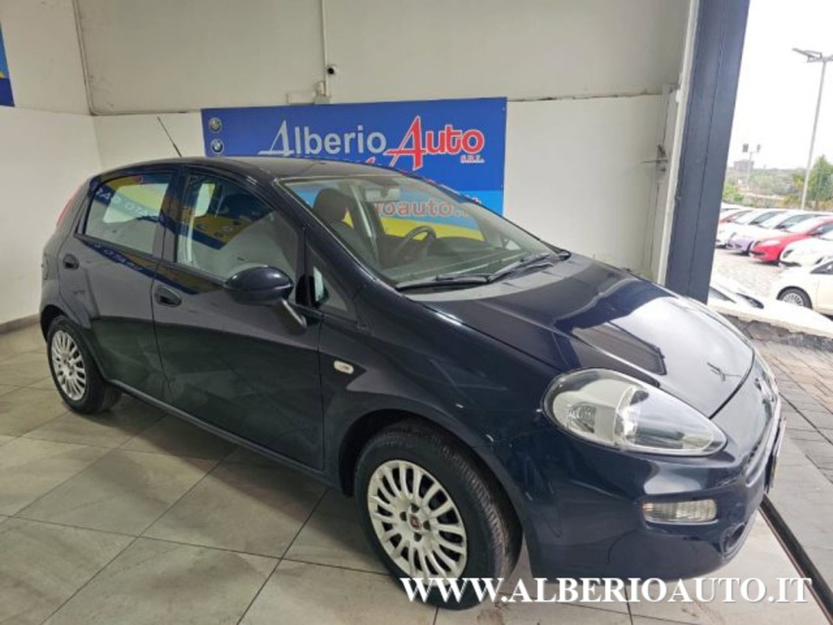 Fiat Punto 1.3 MJT II 75 CV 5 porte Young (3)