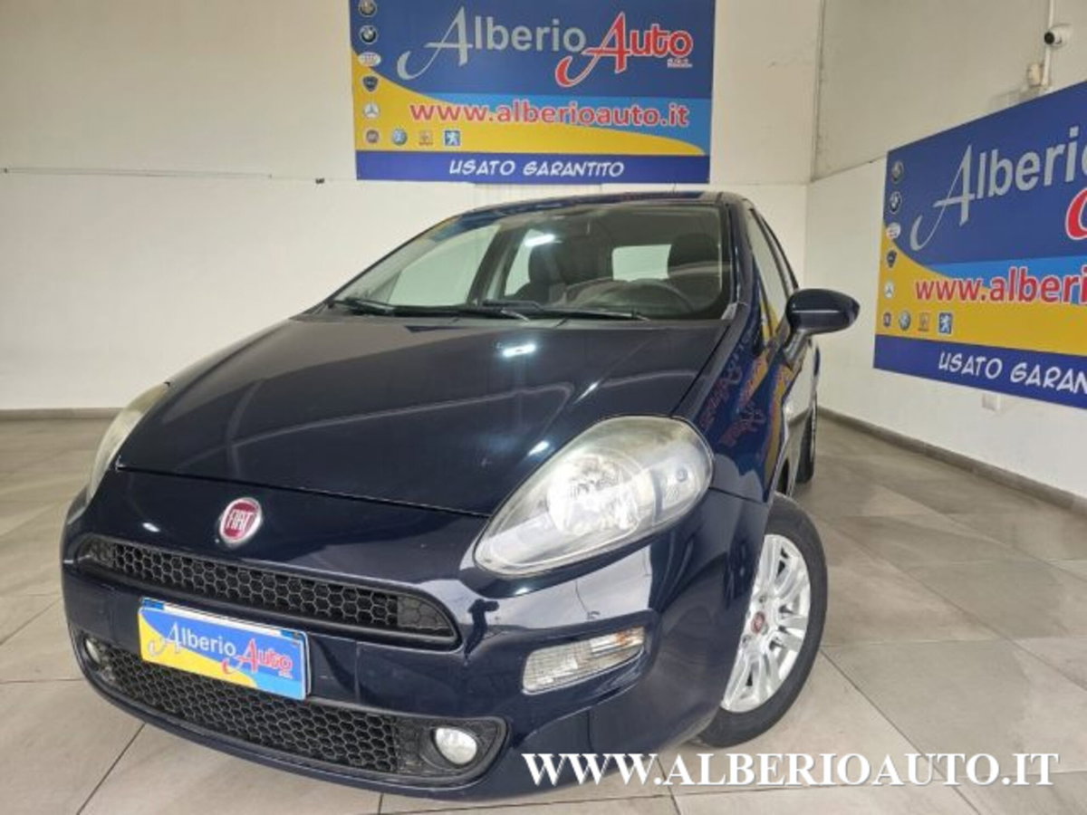 Fiat Punto 1.3 MJT II 75 CV 5 porte Young
