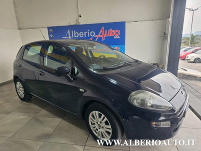 Fiat Punto 1.3 MJT II 75 CV 5 porte Young (5)