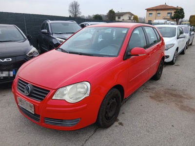 Volkswagen Polo 1.4/80CV TDI 5p. Sportline usata