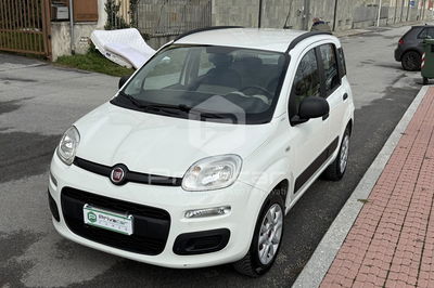 Fiat Panda 0.9 TwinAir Turbo Natural Power Easy usata