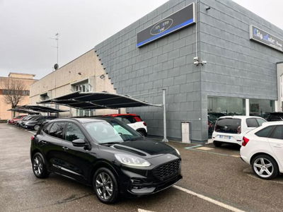 Ford Kuga 2.0 EcoBlue 120 CV aut. 2WD ST-Line X usata