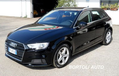 Audi A3 Sportback 1.6 TDI 116 CV Business usata