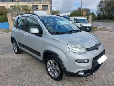 Fiat Panda 1.3 MJT S&S 4x4 (3)