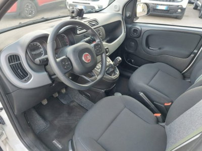 Fiat Panda Cross 1.0 firefly hybrid Cross s&s 70cv 5p.ti (10)