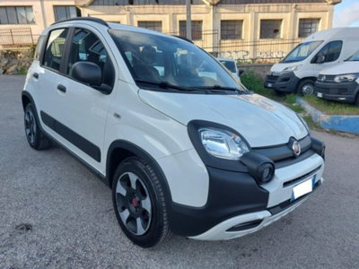Fiat Panda Cross 1.0 firefly hybrid Cross s&s 70cv 5p.ti (2)