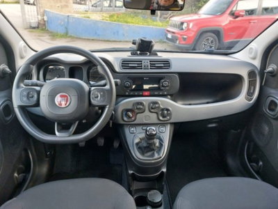 Fiat Panda Cross 1.0 firefly hybrid Cross s&s 70cv 5p.ti (9)