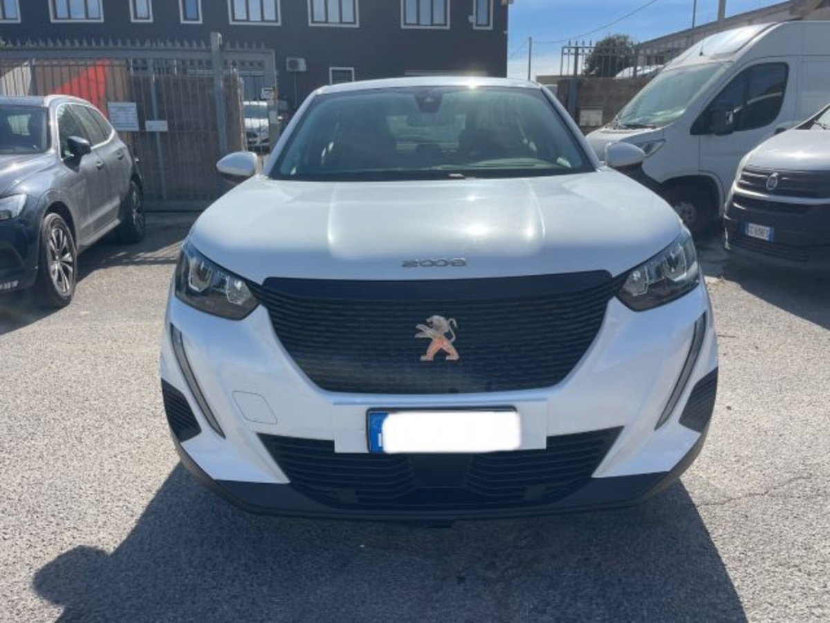 Peugeot 2008 BlueHDi 110 S&S GT (3)
