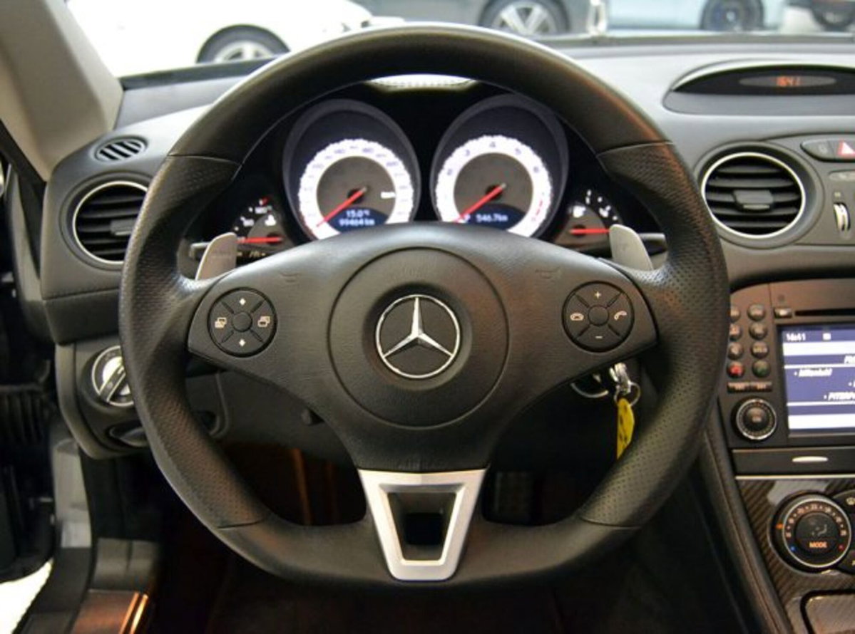 Mercedes-Benz SL 63 cat AMG Performance (11)