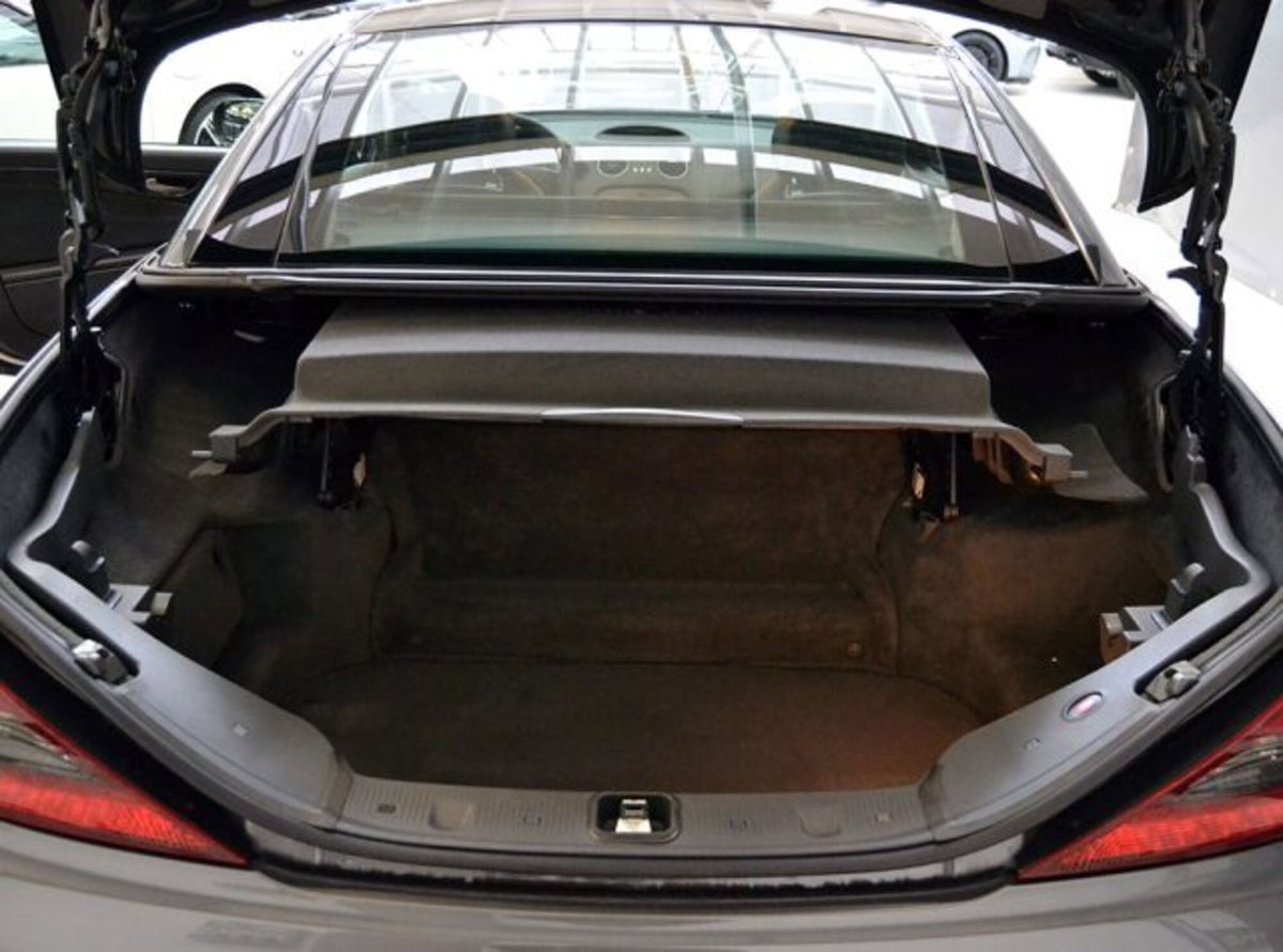 Mercedes-Benz SL 63 cat AMG Performance (15)