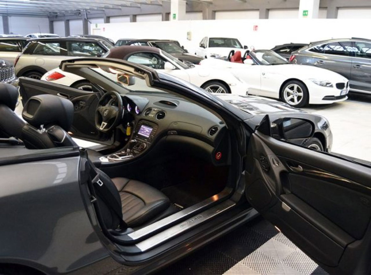 Mercedes-Benz SL 63 cat AMG Performance (3)