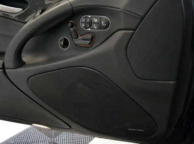 Mercedes-Benz SL 63 cat AMG Performance (6)