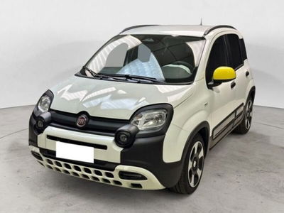 Fiat Panda Cross Cross 1.0 FireFly S&S Hybrid usata