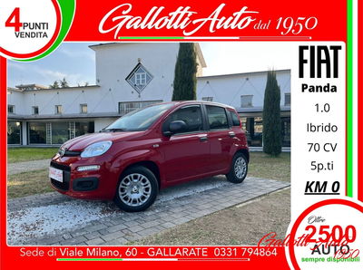 Fiat Panda Cross Cross 1.0 FireFly S&S Hybrid nuova
