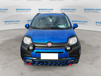 Fiat Panda 1.0 FireFly S&S Hybrid City Cross usata