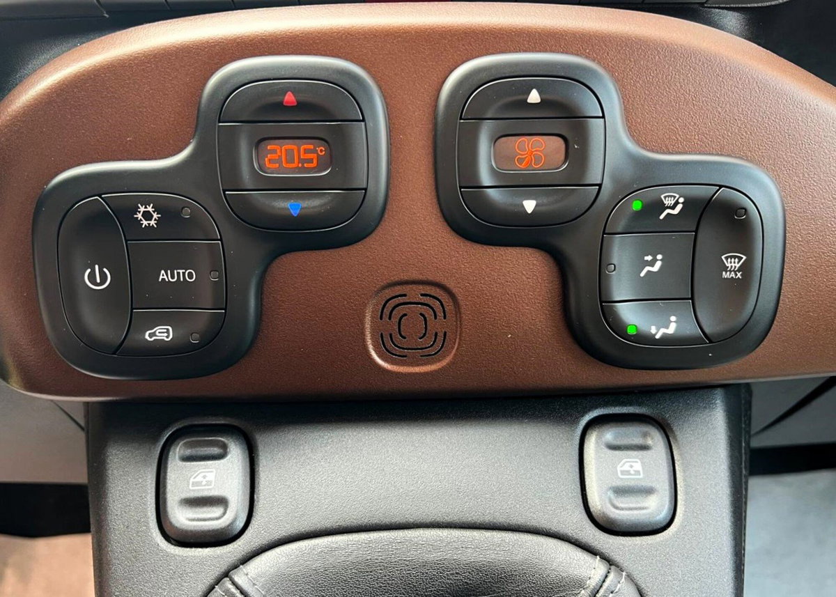 Fiat Panda Cross Cross 1.3 MJT 95 CV S&S 4x4 (12)