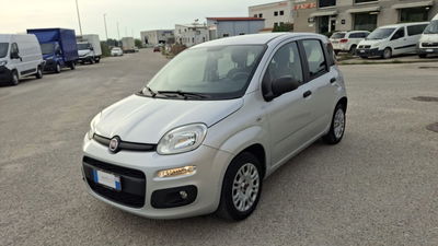 Fiat Panda 1.2 Easy usata