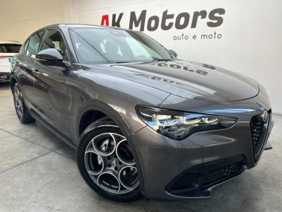 Alfa Romeo Stelvio Stelvio 2.2 Turbodiesel 160 CV AT8 RWD Sprint usata