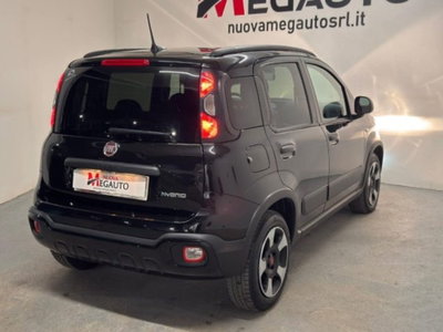 Fiat Panda Cross 1.0 firefly hybrid Cross s&s 70cv 5p.ti (5)