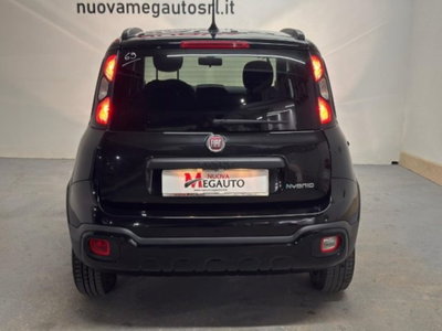 Fiat Panda Cross 1.0 firefly hybrid Cross s&s 70cv 5p.ti (6)