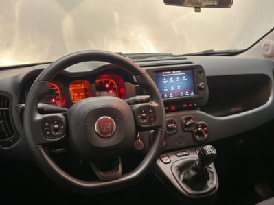 Fiat Panda Cross 1.0 firefly hybrid Cross s&s 70cv 5p.ti (8)