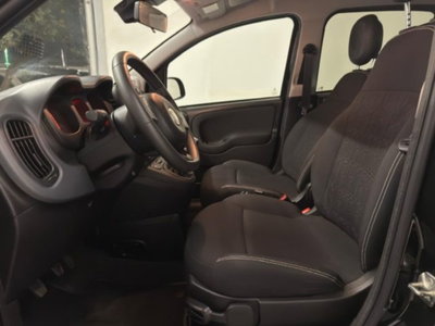 Fiat Panda Cross 1.0 firefly hybrid Cross s&s 70cv 5p.ti (9)