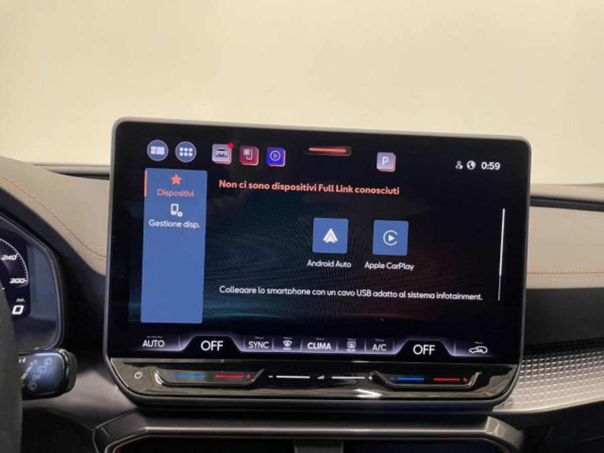 Cupra Formentor Formentor 2.0 TDI (10)
