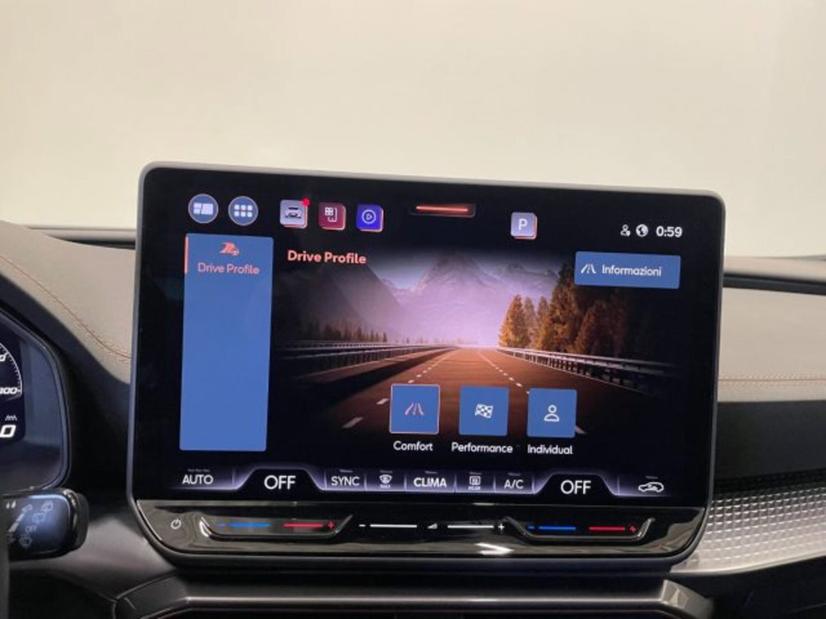 Cupra Formentor Formentor 2.0 TDI (11)