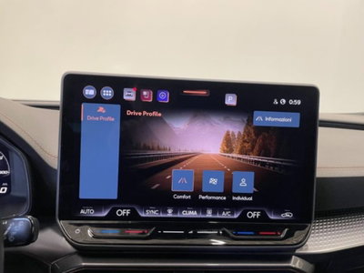 Cupra Formentor Formentor 2.0 TDI (11)