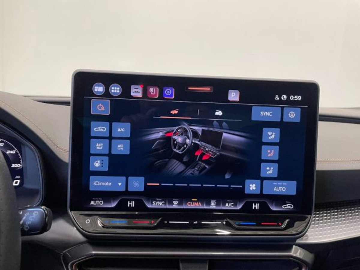 Cupra Formentor Formentor 2.0 TDI (12)