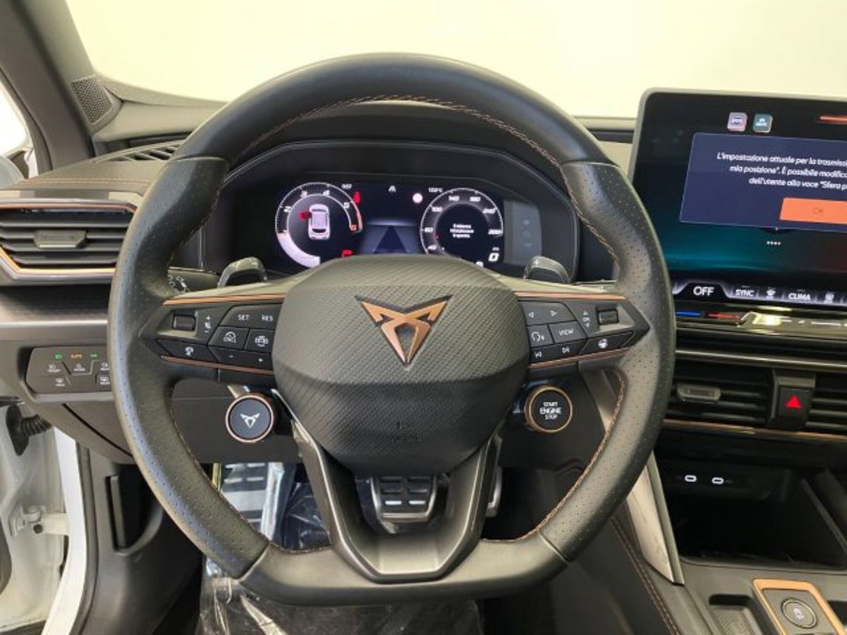 Cupra Formentor Formentor 2.0 TDI (16)