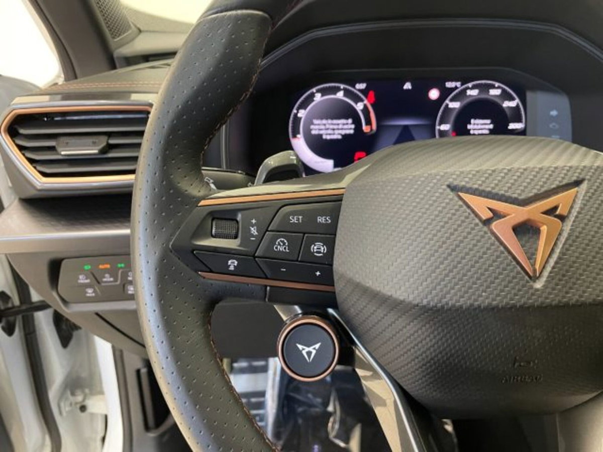 Cupra Formentor Formentor 2.0 TDI (17)