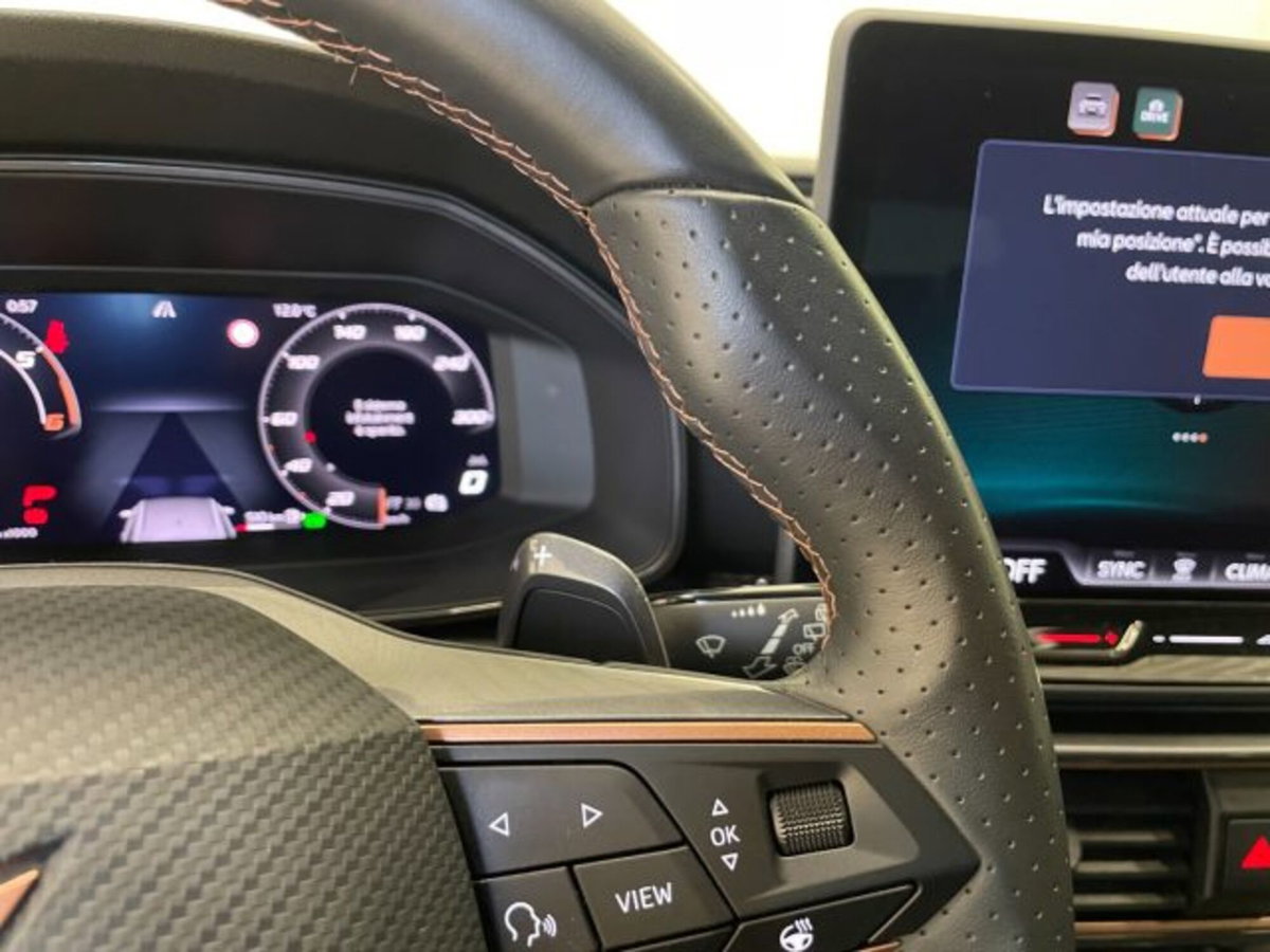 Cupra Formentor Formentor 2.0 TDI (19)