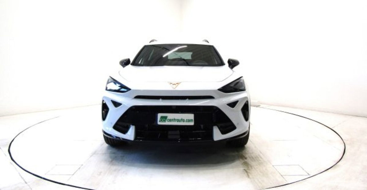 Cupra Formentor Formentor 2.0 TDI (2)