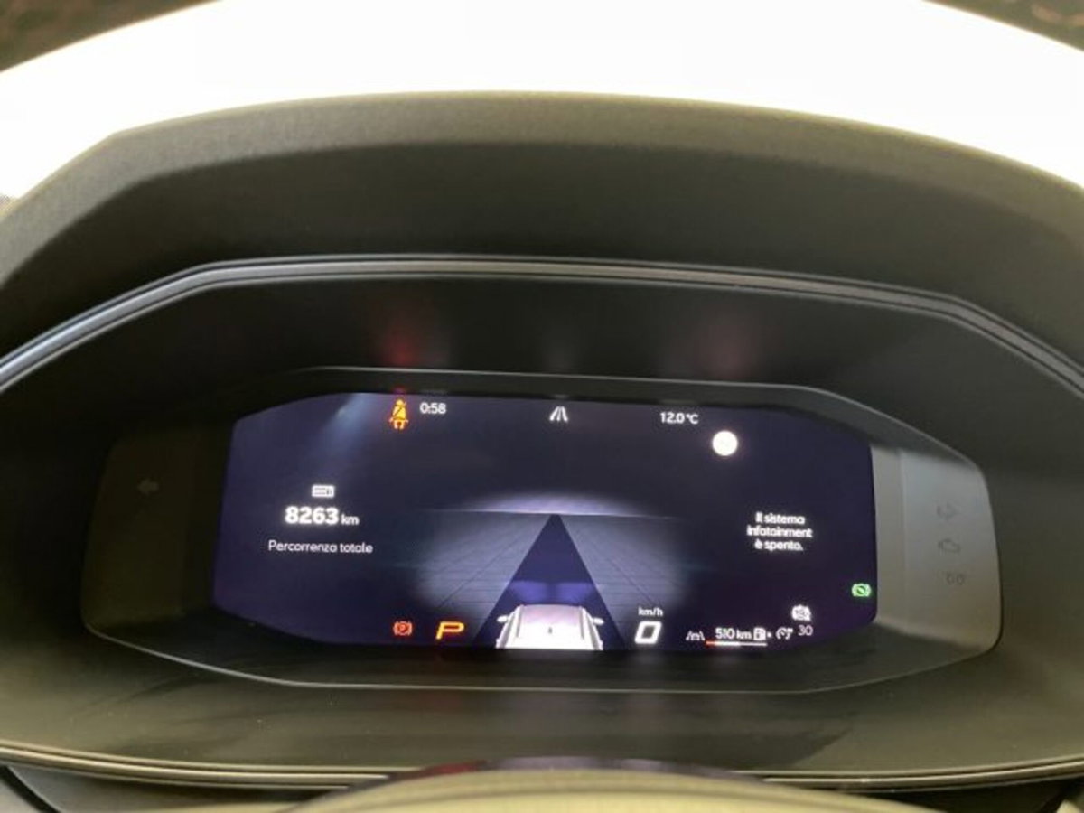 Cupra Formentor Formentor 2.0 TDI (5)